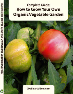 How to Grow Your Own Organic Vegetable Garden DVD