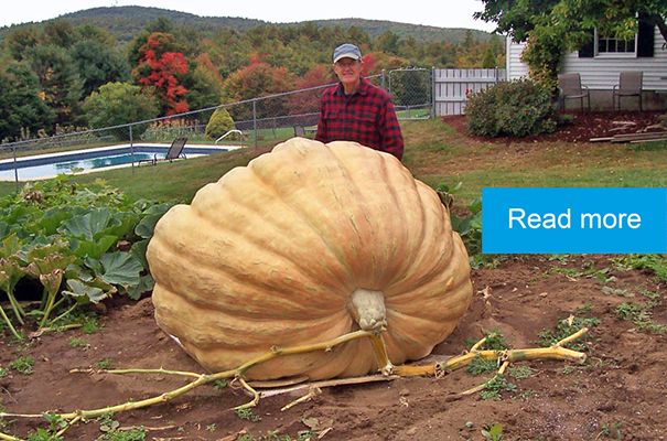 Hiram Watson’s prize-winning giant pumpkin