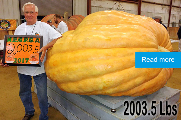 Woody Lancaster’s winning giant pumpkin