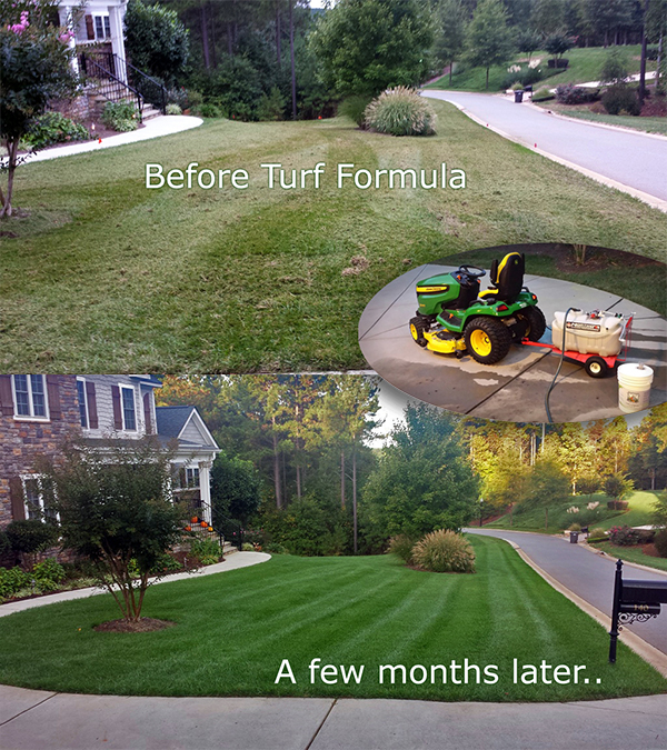 Residential lawn treated with Turf Formula