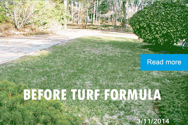 Turf Formula lawn transformation