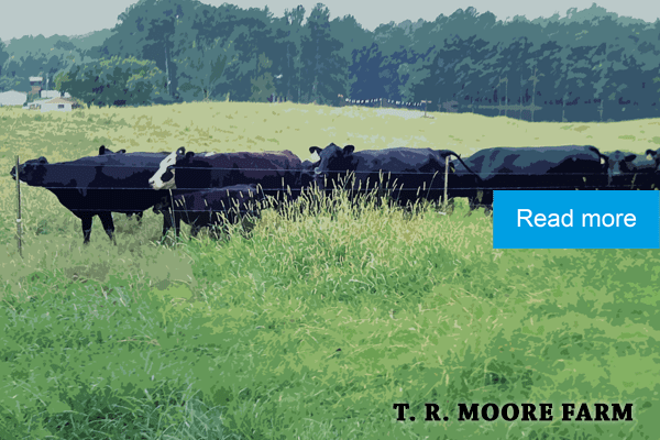 Hay and pasture treated with Fish Fertilizer