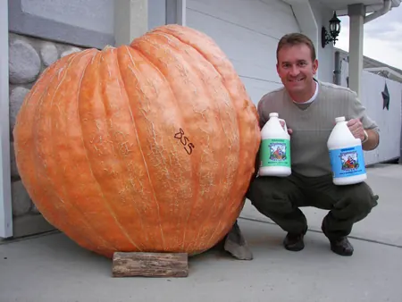 Giant pumpkin grown with Neptune's Harvest organic fertilizer