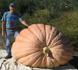 Joe Jutras’s world-record giant pumpkin