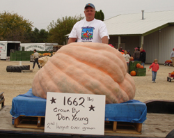 Don Young’s 1,662-pound giant pumpkin