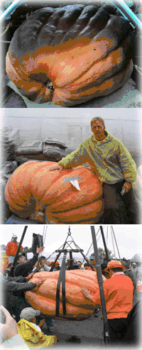 Scott Palmer’s championship giant pumpkin