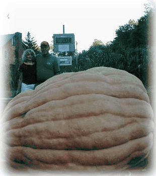 Bruce Whittier’s giant pumpkin
