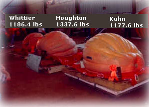 New Hampshire giant pumpkin growers