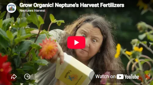 Watch Neptune's Harvest video